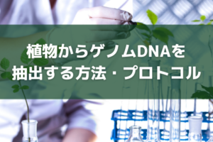 Cp 5e 技術情報 極東製薬工業株式会社