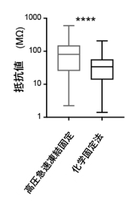 Fig.2 実測値に基づくスパインの 電気抵抗の算出 