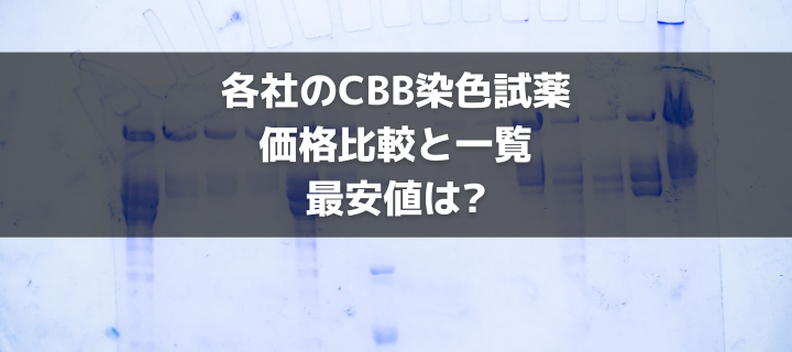 cbb様　確認用 各社CBB染色試薬:価格比較と一覧|最安値は? - BIOTIMES -バイオ
